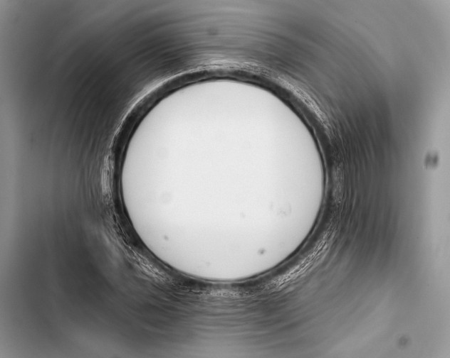 X0000103491021200810031601