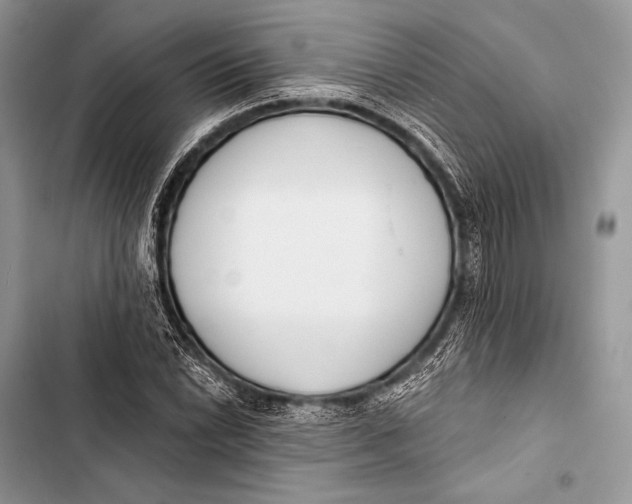 X0000103491022200810031601