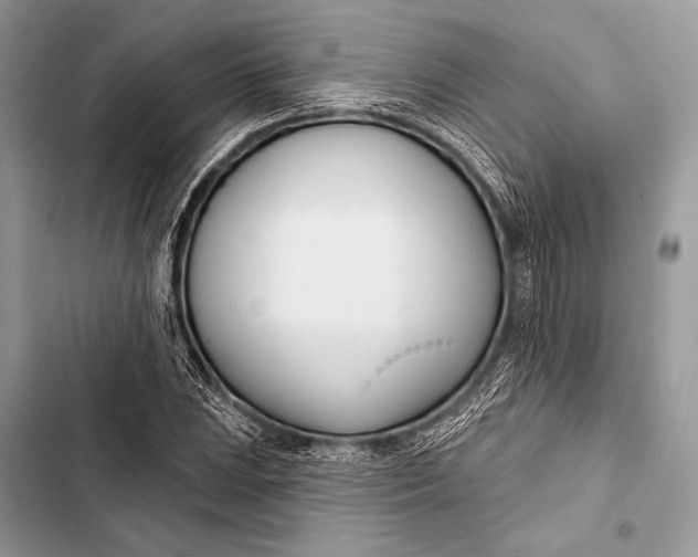 X0000103491023200810031601