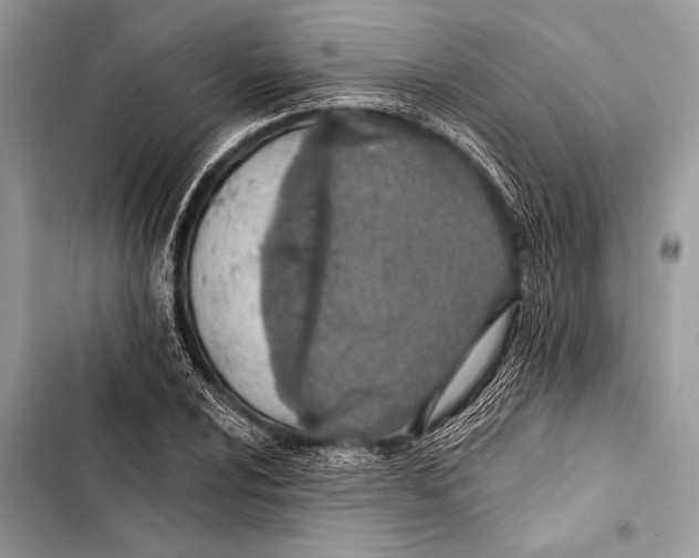 X0000103491024200810031601