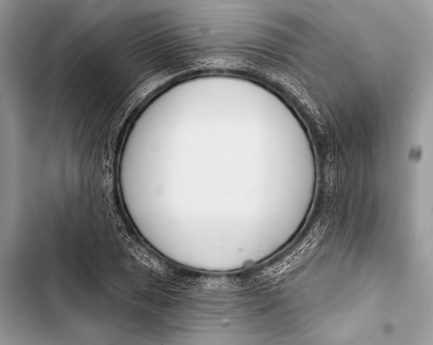 X0000103491025200810031601