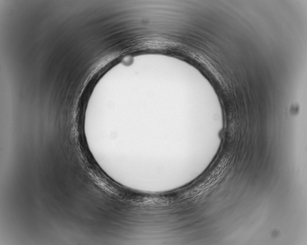 X0000103491026200810031601