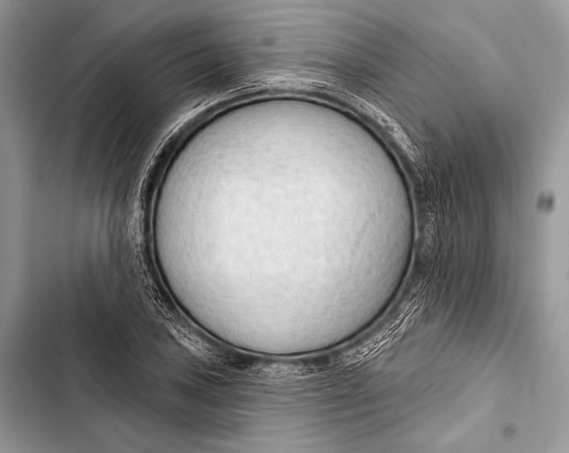 X0000103491027200810031601