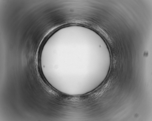 X0000103491028200810031601