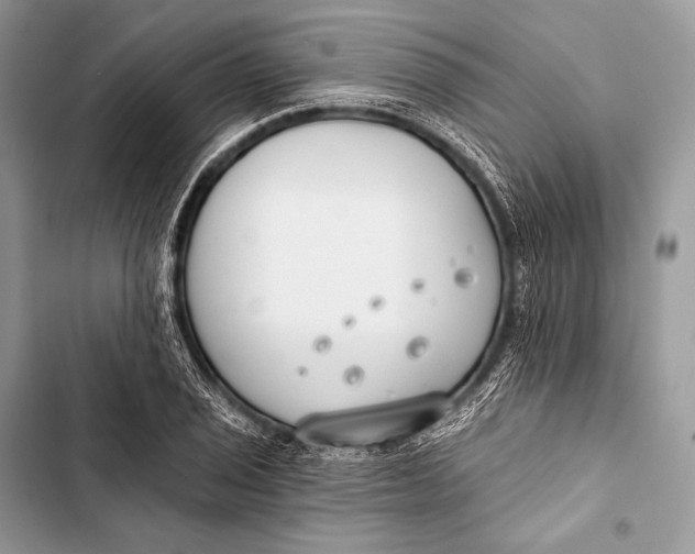 X0000103491029200810031601