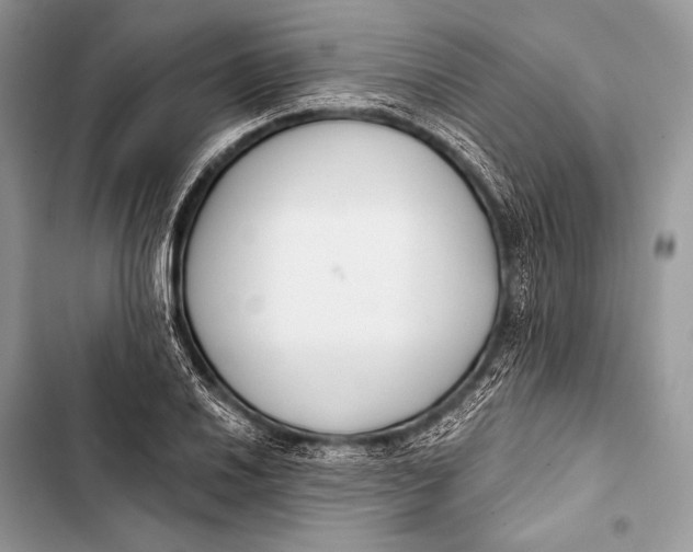 X0000103491030200810031601