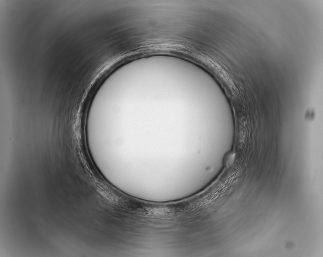 X0000103491031200810031601