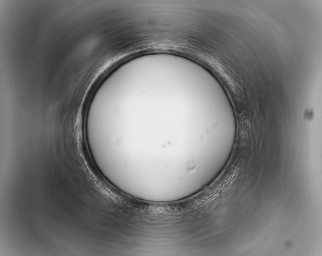 X0000103491032200810031601