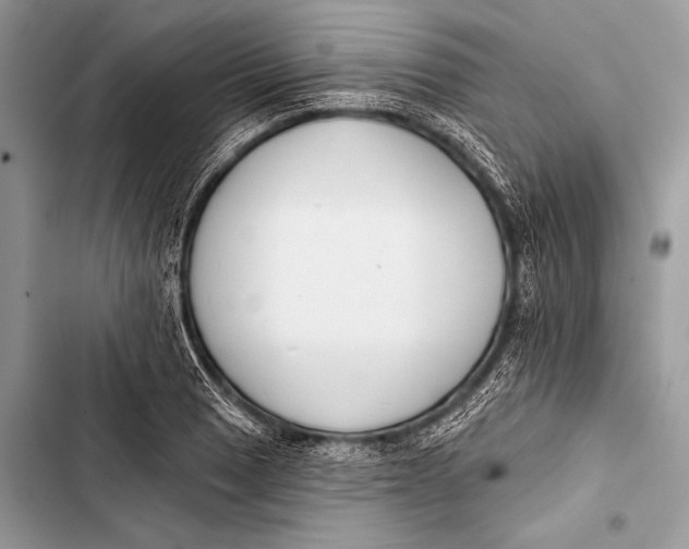 X0000103491033200810031601