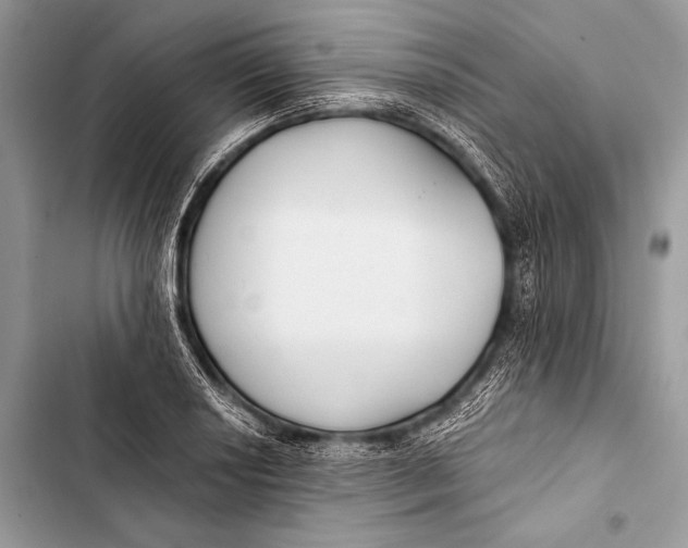 X0000103491034200810031601