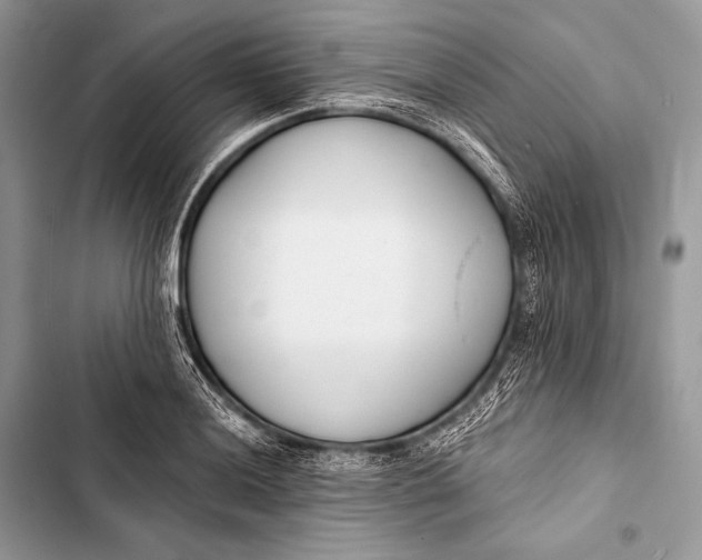 X0000103491036200810031601