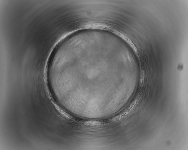 X0000103491037200810031601