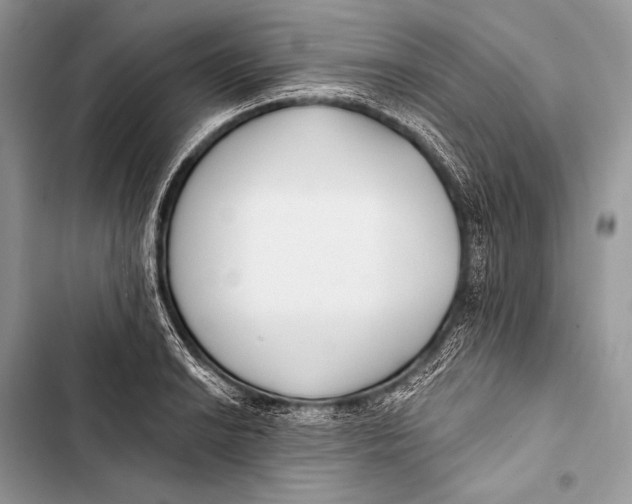 X0000103491038200810031601