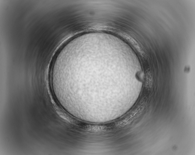 X0000103491039200810031601