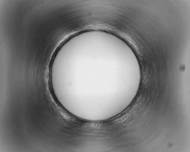 X0000103491040200810031601