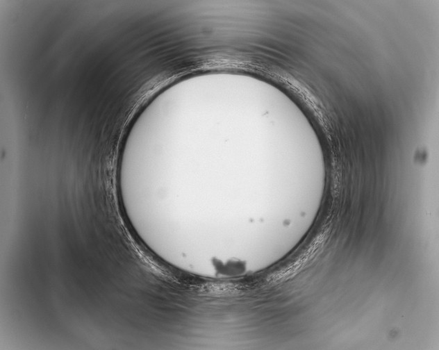 X0000103491041200810031601