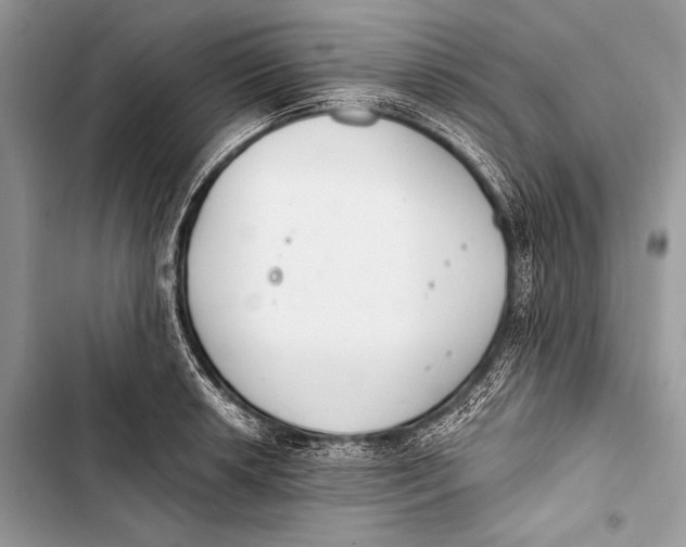 X0000103491042200810031601