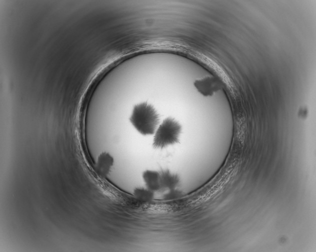 X0000103491043200810031601