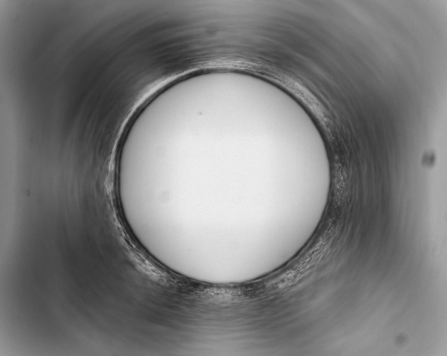 X0000103491044200810031601