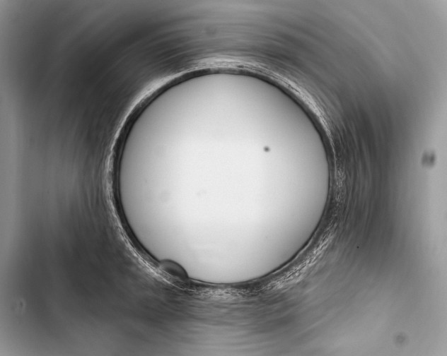 X0000103491045200810031601