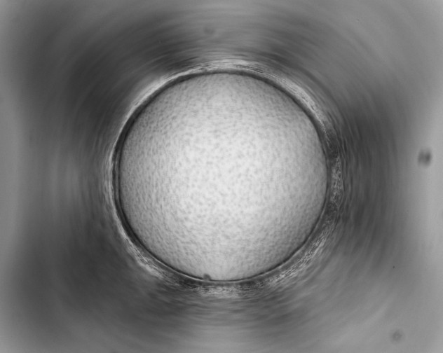 X0000103491047200810031601