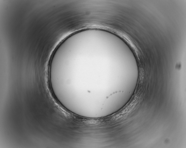 X0000103491048200810031601