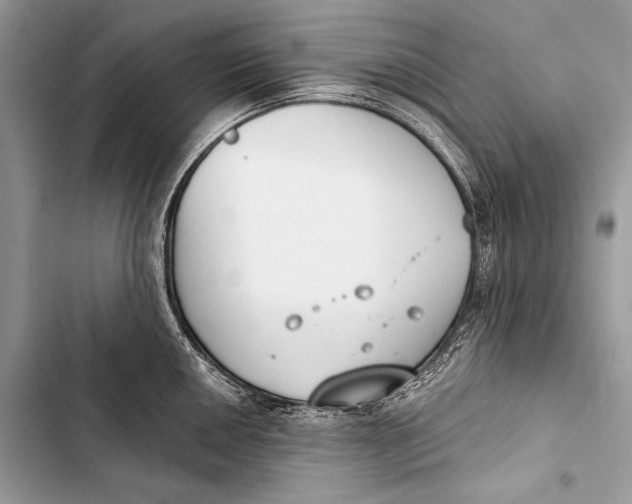 X0000103491050200810031601