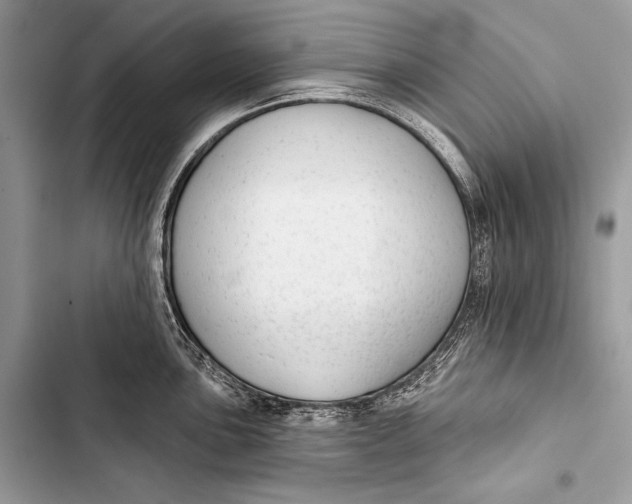 X0000103491051200810031601