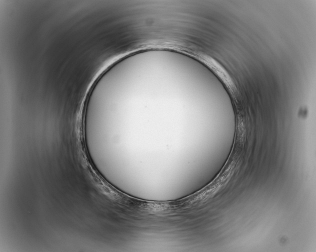 X0000103491052200810031601