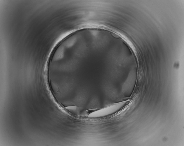 X0000103491053200810031601