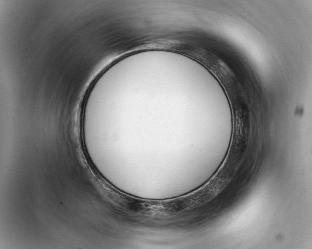 X0000103491054200810031601