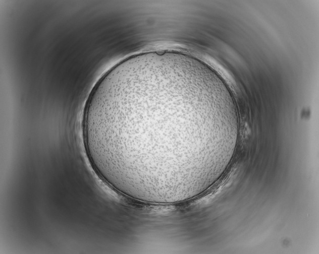 X0000103491055200810031601