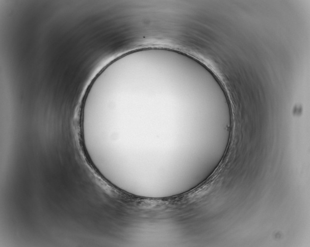 X0000103491056200810031601