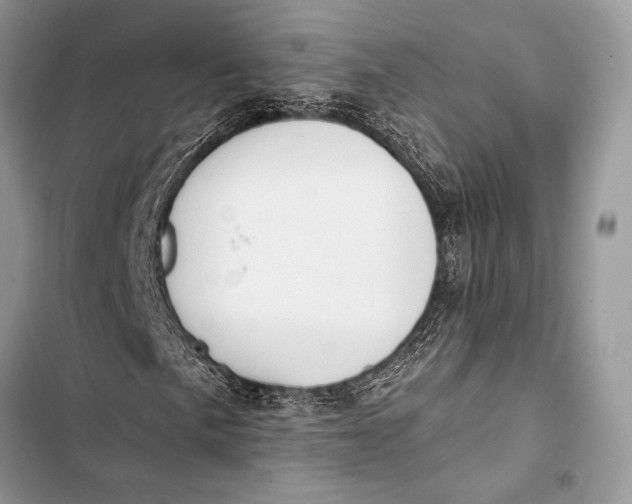 X0000103491057200810031600