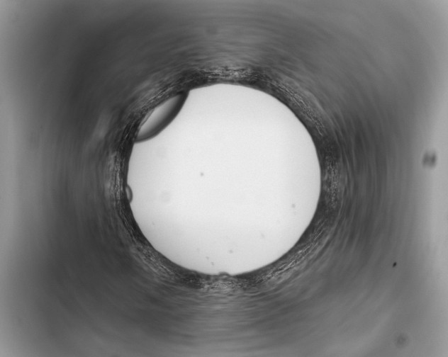 X0000103491058200810031600