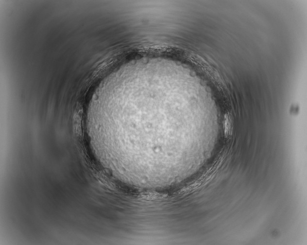 X0000103491059200810031600