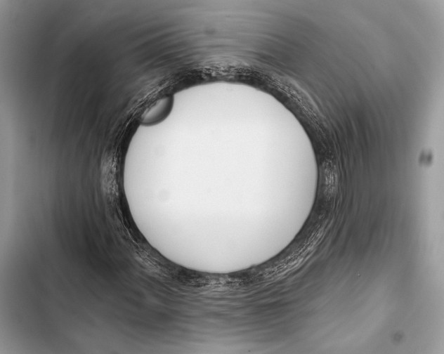 X0000103491060200810031600