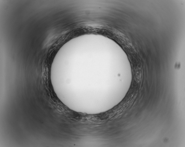 X0000103491061200810031600