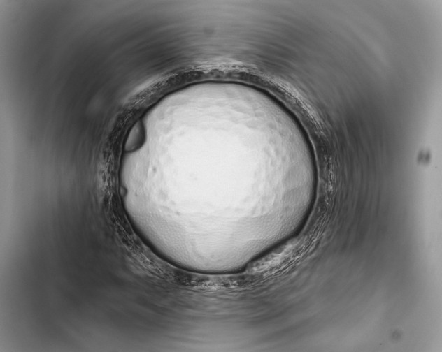 X0000103491063200810031600