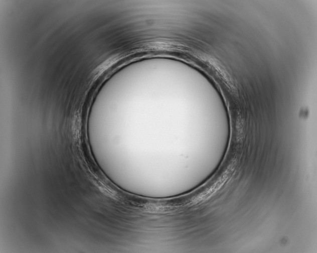 X0000103491065200810031600