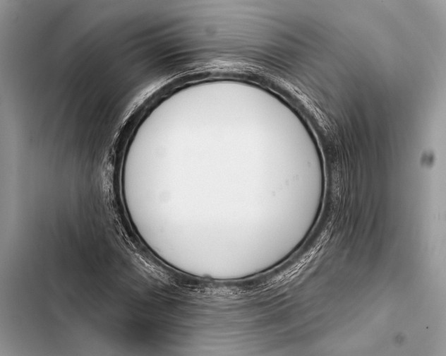 X0000103491066200810031600