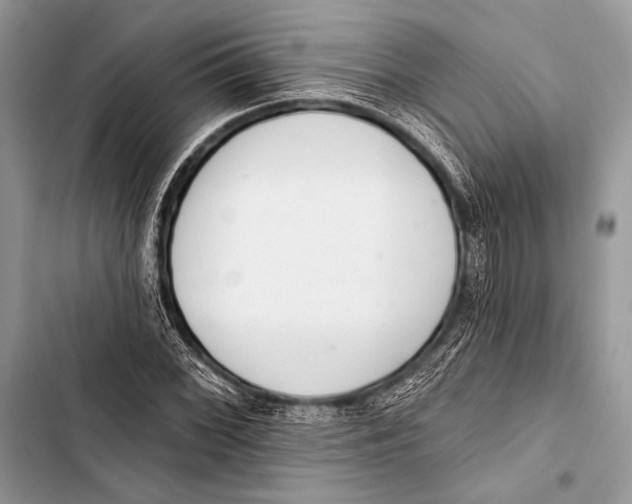 X0000103491068200810031600