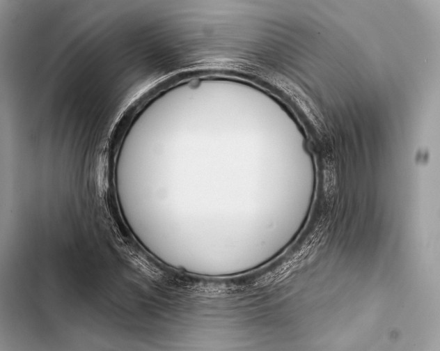 X0000103491069200810031600