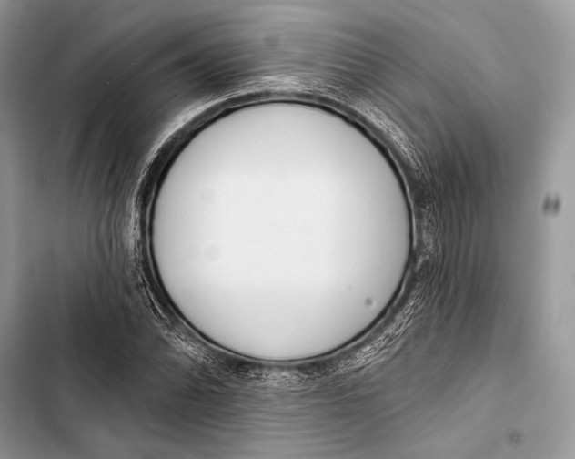 X0000103491070200810031600