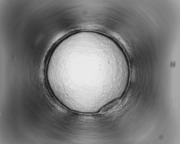 X0000103491071200810031600