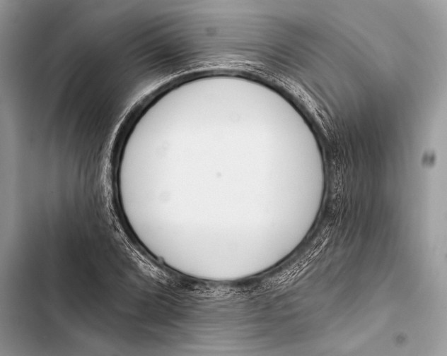 X0000103491072200810031600