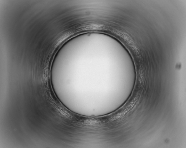 X0000103491073200810031600