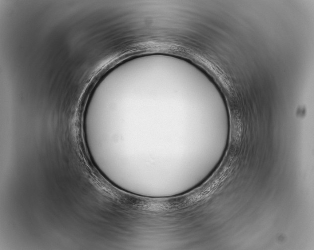 X0000103491074200810031600