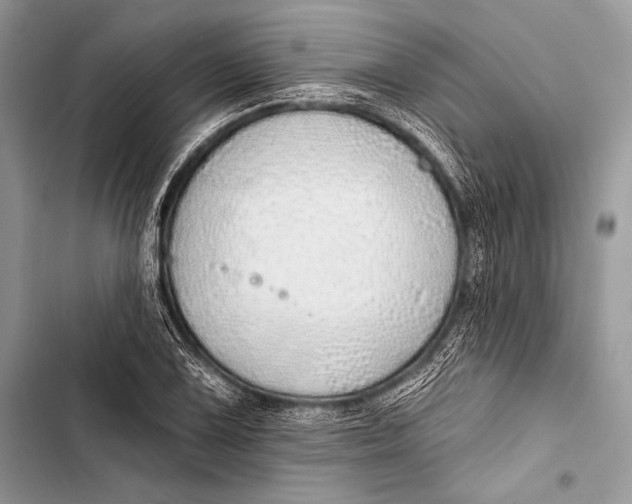 X0000103491075200810031600