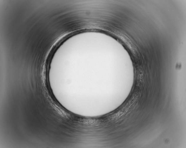 X0000103491076200810031600